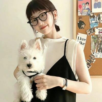 钢木兰